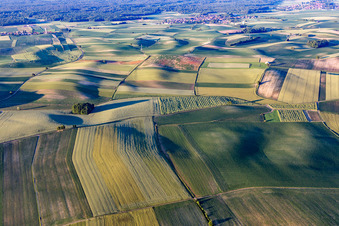 Seebach dans le département Bas Rhin, France vu d'un drone