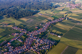 Schleithal dans le département Bas Rhin, France d'en haut