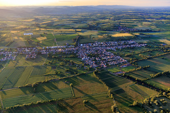 Vue aérienne de Du sud à Steinfeld dans le département Rhénanie-Palatinat, Allemagne