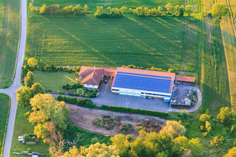 Vue aérienne de Point de collecte des déchets verts à le quartier Kleinsteinfeld in Steinfeld dans le département Rhénanie-Palatinat, Allemagne