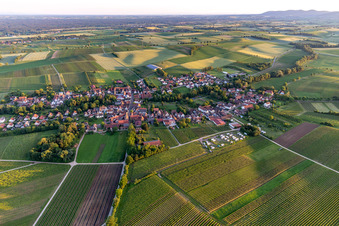 Vue aérienne de Vue du village depuis le nord à Dierbach dans le département Rhénanie-Palatinat, Allemagne