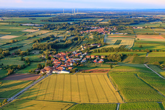 Vue aérienne de De l'ouest à Hergersweiler dans le département Rhénanie-Palatinat, Allemagne