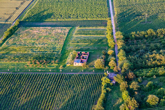 Vue aérienne de Ruine du bâtiment à Barbelroth dans le département Rhénanie-Palatinat, Allemagne