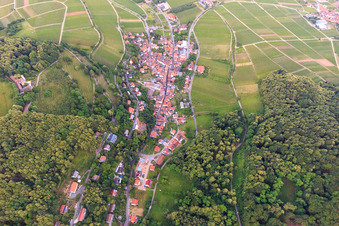 Vue aérienne de Vue du village depuis l'ouest à Leinsweiler dans le département Rhénanie-Palatinat, Allemagne