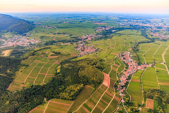 Vue aérienne de Vue du village depuis l'ouest à Ranschbach dans le département Rhénanie-Palatinat, Allemagne