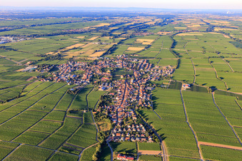 Vue aérienne de Vue de la ville viticole entre les vignes depuis l'ouest à Edesheim dans le département Rhénanie-Palatinat, Allemagne