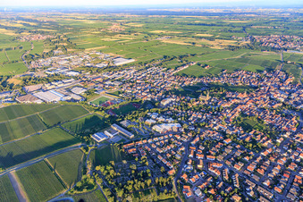 Vue aérienne de Vue de la ville depuis le nord-est à Maikammer dans le département Rhénanie-Palatinat, Allemagne
