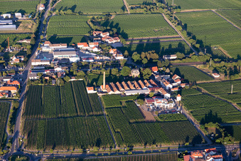 Vue aérienne de Quartier Bordmühle avec Autohaus Schreieck GmbH et Richard Gerlinger GmbH & Co. KG à Kirrweiler dans le département Rhénanie-Palatinat, Allemagne