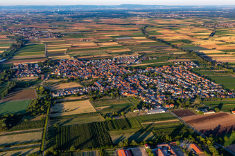Vue aérienne de De l'ouest à Niederkirchen bei Deidesheim dans le département Rhénanie-Palatinat, Allemagne