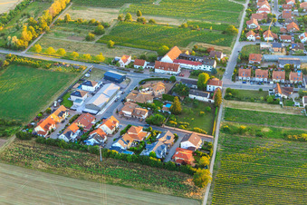 Vue aérienne de Nouvelle zone de développement Im kleinen Sand à Meckenheim dans le département Rhénanie-Palatinat, Allemagne