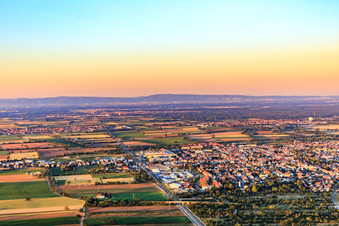 Vue aérienne de De l'ouest à Haßloch dans le département Rhénanie-Palatinat, Allemagne
