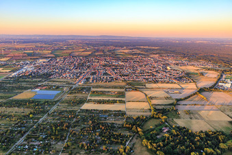 Vue aérienne de De l'ouest à Haßloch dans le département Rhénanie-Palatinat, Allemagne