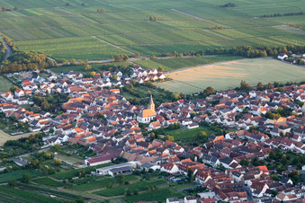 Vue d'oiseau de Quartier Lachen in Neustadt an der Weinstraße dans le département Rhénanie-Palatinat, Allemagne