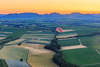 Vue aérienne de Parapente en trike en soirée à Insheim dans le département Rhénanie-Palatinat, Allemagne
