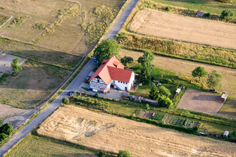 Vue oblique de Rue Litzelstetter à le quartier Wollmatingen in Konstanz dans le département Bade-Wurtemberg, Allemagne
