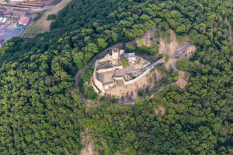 Photographie aérienne de Ruines et vestiges des murs de l'ancien château et forteresse de Mühlburg à le quartier Mühlberg in Drei Gleichen dans le département Thuringe, Allemagne