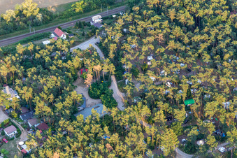 Vue aérienne de Caravanes et tentes sous les pins au camping - et emplacement pour tentes Camping am Oberuckersee à le quartier Warnitz in Oberuckersee dans le département Brandebourg, Allemagne