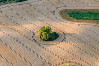 Vue aérienne de Structure du champ de céréales rondes : lac mort dans le champ de l'Uckermark à le quartier Groß Fredenwalde in Gerswalde dans le département Brandebourg, Allemagne