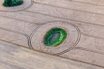 Photographie aérienne de Structure du champ de céréales rondes : lac mort dans le champ de l'Uckermark à le quartier Groß Fredenwalde in Gerswalde dans le département Brandebourg, Allemagne
