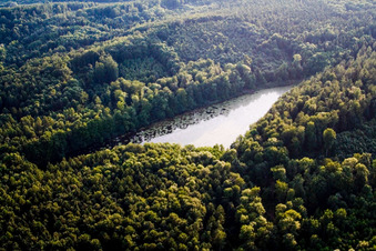 Quartier Litzelstetten in Konstanz dans le département Bade-Wurtemberg, Allemagne d'en haut