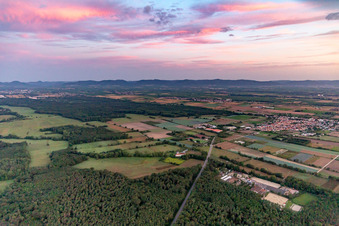 Vue aérienne de Club d'équitation et de conduite eV à Zeiskam dans le département Rhénanie-Palatinat, Allemagne
