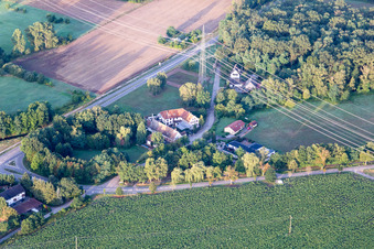 Vue aérienne de Aumühle à Haßloch dans le département Rhénanie-Palatinat, Allemagne