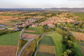Vue aérienne de De l'est à le quartier Geinsheim in Neustadt an der Weinstraße dans le département Rhénanie-Palatinat, Allemagne