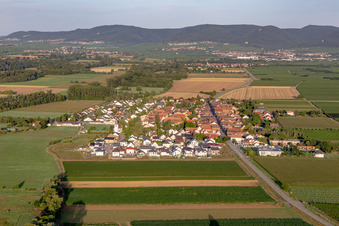 Vue aérienne de De l'est à Altdorf dans le département Rhénanie-Palatinat, Allemagne