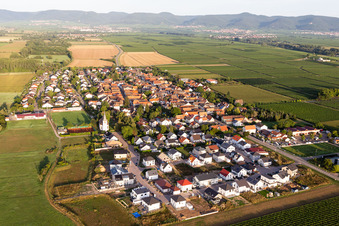 Vue aérienne de Altdorf dans le département Rhénanie-Palatinat, Allemagne