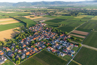 Vue aérienne de Du sud-est à Kleinfischlingen dans le département Rhénanie-Palatinat, Allemagne