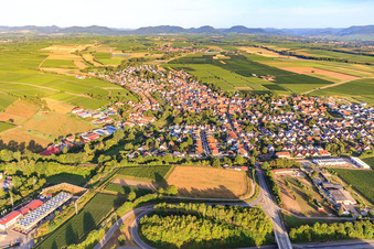 Vue aérienne de De l'est à Insheim dans le département Rhénanie-Palatinat, Allemagne
