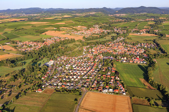 Photographie aérienne de Du nord-est à le quartier Billigheim in Billigheim-Ingenheim dans le département Rhénanie-Palatinat, Allemagne