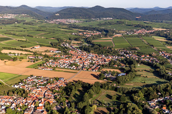 Vue aérienne de De l'est à le quartier Ingenheim in Billigheim-Ingenheim dans le département Rhénanie-Palatinat, Allemagne