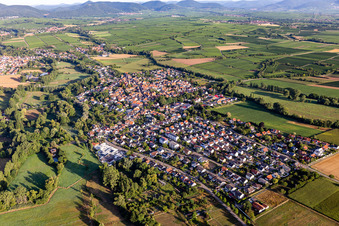 Vue aérienne de Du sud-est à le quartier Billigheim in Billigheim-Ingenheim dans le département Rhénanie-Palatinat, Allemagne