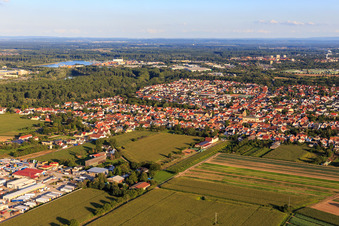 Vue aérienne de Du nord à Lingenfeld dans le département Rhénanie-Palatinat, Allemagne