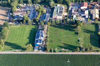 Vue aérienne de FC Lustadt eV à Lustadt dans le département Rhénanie-Palatinat, Allemagne