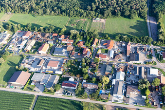 Vue aérienne de Zone industrielle Am Unteren Griesweg avec C-Tec KFT à Lustadt dans le département Rhénanie-Palatinat, Allemagne