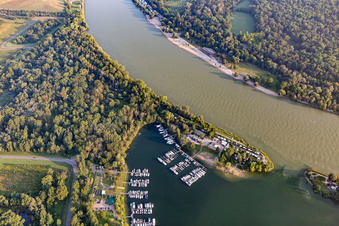 Vue aérienne de Port de plaisance de Kiefweiher à le quartier Rheingönheim in Ludwigshafen am Rhein dans le département Rhénanie-Palatinat, Allemagne