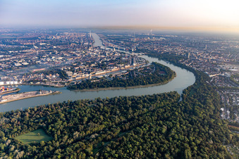 Vue aérienne de Parc de l'Île - Parc municipal LU à le quartier Süd in Ludwigshafen am Rhein dans le département Rhénanie-Palatinat, Allemagne
