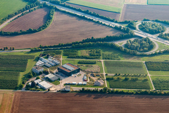 Vue aérienne de Complexe de bâtiments de l'Institut Julius Kühn à Dossenheim dans le département Bade-Wurtemberg, Allemagne