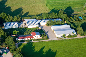 Enregistrement par drone de Dans le Rötzwiesen, ferme de la famille Kerth à le quartier Minderslachen in Kandel dans le département Rhénanie-Palatinat, Allemagne