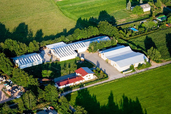 Dans le Rötzwiesen, ferme de la famille Kerth à le quartier Minderslachen in Kandel dans le département Rhénanie-Palatinat, Allemagne du point de vue du drone