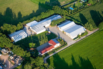 Dans le Rötzwiesen, ferme de la famille Kerth à le quartier Minderslachen in Kandel dans le département Rhénanie-Palatinat, Allemagne d'un drone