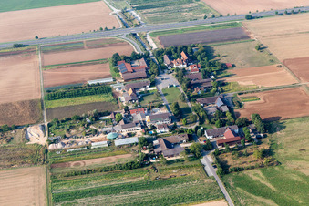 Vue aérienne de Ferme et dépendances de la ferme Kurpfalzhofm, Obsthof Gieser, boulangerie au feu de bois Heidelberger, magasin de la ferme Mampel et ferme d'autocueillette de fraises à le quartier Patrick Henry Village in Heidelberg dans le département Bade-Wurtemberg, Allemagne