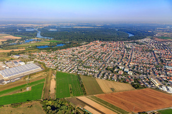 Vue aérienne de De l'est à Ketsch dans le département Bade-Wurtemberg, Allemagne