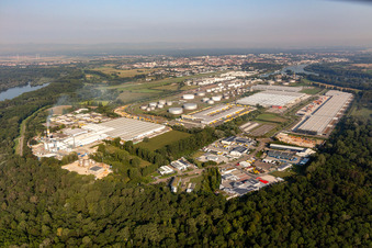 Vue aérienne de Installations techniques dans la zone industrielle de l'aéroport avec Interpneu Handelsgesellschaft mbH - Tire Logistics Center, Lidl Vertriebs GmbH & Co KG SPE, Contargo, TanQuid, Saint-Gobain Isover G+H AG, Vital Fleisch GmbH et Lauras Girls Bordell à Speyer dans le département Rhénanie-Palatinat, Allemagne
