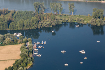 Vue aérienne de Port de plaisance sur l'île de Corse à le quartier Oberhausen in Oberhausen-Rheinhausen dans le département Bade-Wurtemberg, Allemagne