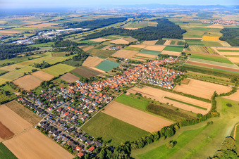 Vue aérienne de De l'est à Erlenbach bei Kandel dans le département Rhénanie-Palatinat, Allemagne