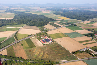 Vue aérienne de Ferme d'œufs à Erlenbach bei Kandel dans le département Rhénanie-Palatinat, Allemagne