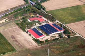 Photographie aérienne de Ferme d'œufs à Erlenbach bei Kandel dans le département Rhénanie-Palatinat, Allemagne